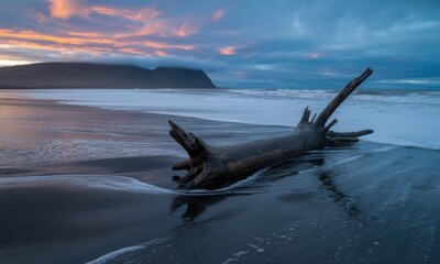 Breathtaking volcanic black sand beach at dawn with rugged driftwood log in foreground