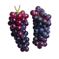 Fototapeta premium Two vibrant bunches of purple grapes against a stark black background, close up view