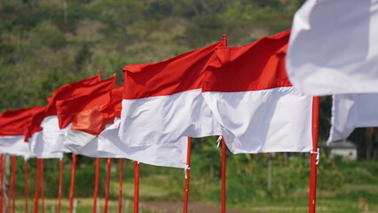 A majestic row of Indonesian flags (Merah Putih) displayed outdoors, symbolizing national spirit and pride