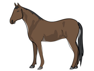 Fototapeta premium Horse in continuous line drawing