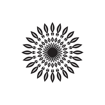 Fower drawing and sketch with black and white line-art.