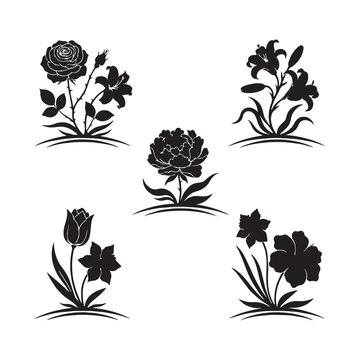 Fower illustration for white background.