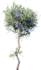 Naklejka premium tree, isolated, plant, nature, leaf, branch, white, leaves, flower, spring, herb, foliage, summer, environment, garden, growing, grass, wood, season, nobody, stem, 3d, heather