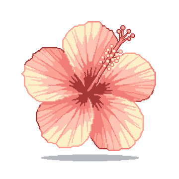 Pixel Art Hibiscus Tropical Coral Floral Vector