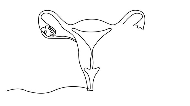 Animation of Continuous one line drawing woman's uterus. Full length self drawing of single line animated video 4k resolution