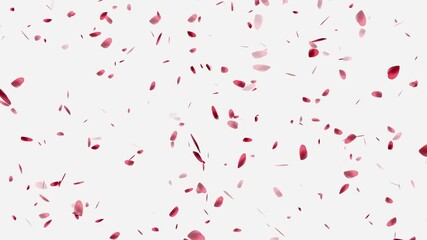 red heart of rose petals flying with vortex on white background, Floating red rose petals. Isolated natural 3D rose flowers,
Lovely valentine red colored hearts flying around on white background