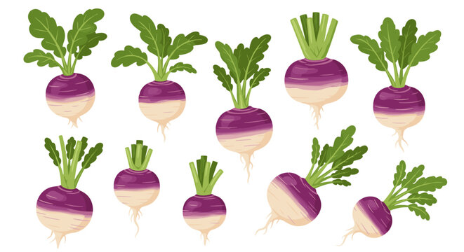 A collection of various purple and white root vegetables with green leafy tops is displayed.