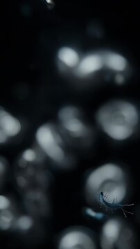 A cinematic 3D render of spirilla bacteria. Perfect for visuals requiring a unique and scientifically interesting microorganism.