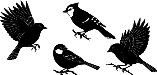 Obraz premium North American European Backyard Bird Silhouettes Set, Nature Vector