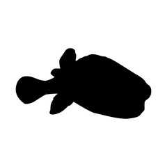 sea animal silhouette pufferfish