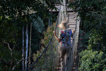Canopy Explorer: a vibrant and engaging photograph of a solitary explorer traversing a narrow suspension bridge high in the Peru's Amazon rainforest canopy