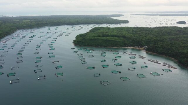 Fisheries on Luzon Island, Philippines. Fish farm, top view. Aerial view of fish ponds for bangus, milkfish.
