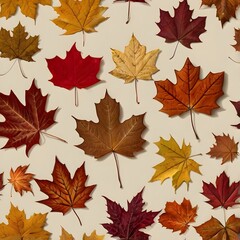 Obraz premium Autumn maple leaf flat lay, isolated on beige background, soft shadows