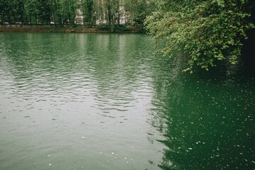 Calm lake reflecting trees and sky after rain
