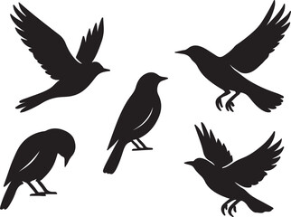 Collection of five black bird silhouettes in various poses silhouette
