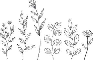 Hand Drawn Various Plant Branches in Black and White Line Art Style