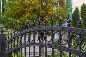 Wrought Iron Fence. Metal fence
