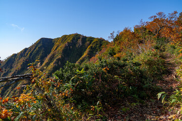 Autumn Mountain Trail Leading to the Summit of Fujisato Komagatake (Shirakami Sanchi)