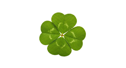 A green and white clover leaf with a png transparent.