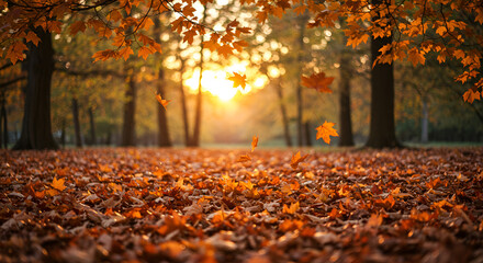 Golden autumn leaves blanket the forest floor, illuminated by the warm, soft light of a setting sun, creating a tranquil and picturesque natural scene.