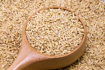 Oat Groats In Spoon Horizontal Composition