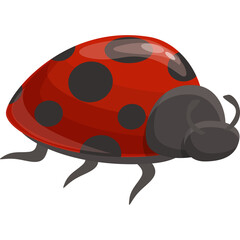 A Vibrant Red Ladybug with Black Spots Detailed Illustration on a Transparent Background Symbolizing Nature and Insects