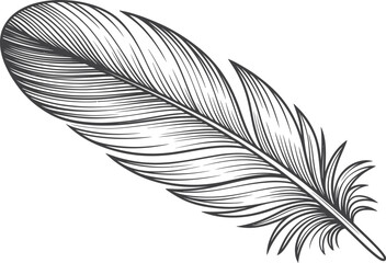Fototapeta premium Detailed Feather Icon – Elegant Line Drawing of a Bird Feather