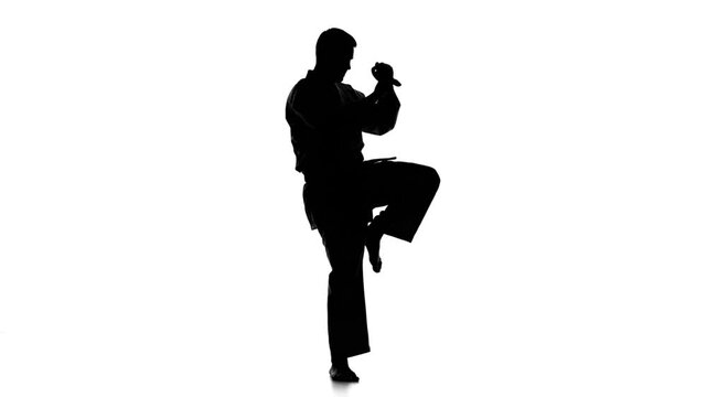 Dynamic Karate Silhouette: Martial Artist Kicking in Striking Pose on White Background