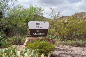 Needle Vista in the Tonto National Forest near Apache Junction in Apache Trail in the Supersitition Mountains