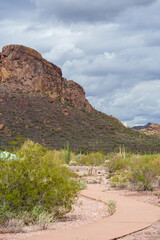 Paved walking path at Weavers Needle Vista - Tonto National Forest Arizona on the Apache Trail