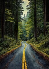 Fototapeta premium Winding road cutting through a dense green forest with tall trees under a cloudy sky