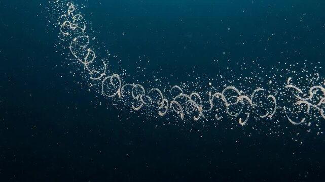 A chain of salps floating in the deep blue sea