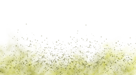 Dark silhouette of a person standing in a field at night