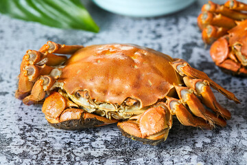 Yangcheng Lake Hairy Crab Steamed Fresh Seafood