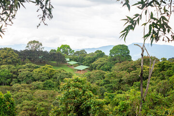 A beautiful aerial view of lush greenery in San Agustin, Colombia, showcasing natural scenery and structures among the trees.