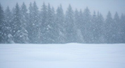 Delicate snowflakes softly blanket a serene winter landscape, featuring a dense evergreen forest bordering a vast, untouched field of pure white snow.