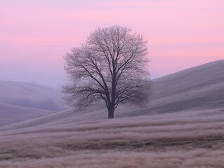Solitary leafless tree standing in the middle of misty rolling hills covered with frosty grass under a soft pink and purple sky at dawn