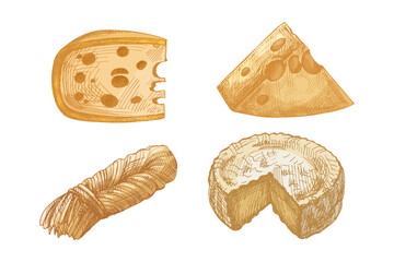 Hand drawn vintage sketch set of assorted cheese types including wheel, wedge, slice and braided string, detailed dairy food illustration, isolated vector design