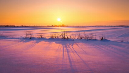 Naklejka premium Vibrant sunset casts long shadows across a snow covered field with bare branches