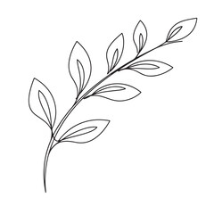 Minimal botanical branch line art | Elegant floral leaf drawing | Simple nature outline design