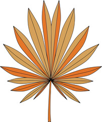 Dried palm leaf fan shape tropical plant exotic foliage botanical decor autumn palette isolated vector