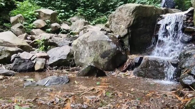 waterfall in the forest