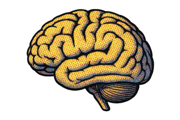 Human brain illustration in bright pop art halftone style representing thinking, intelligence, and anatomical concepts