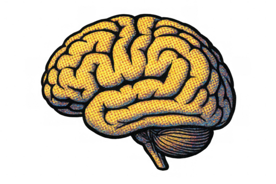 Human brain illustration in bright pop art halftone style representing thinking, intelligence, and anatomical concepts