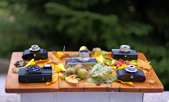 Vintage film cameras on a wooden surface with autumn leaves and fruits, shot at an angle with a blurred pine tree background.