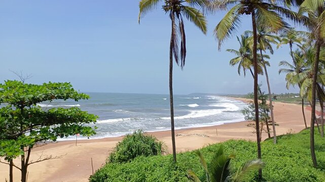 Candolim Beach in Goa, tropical beach with palm trees.