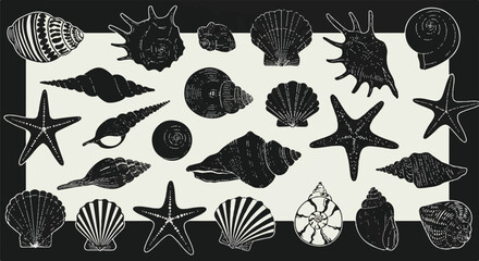 A visually descriptive flat 2D black and white vector illustration features a comprehensive and detailed collection of various natural marine seashells, conch shells, and intricate starfish figures.