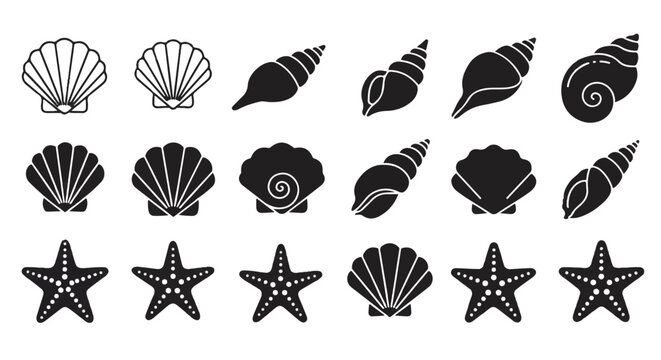 A collection of beautiful monochrome seashells and starfish, presented as a high-contrast 2D flat vector icon set representing marine life and tropical ocean themes.