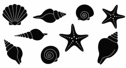 Simple black and white vector illustration depicting a variety of detailed ocean seashells and starfish perfectly isolated on a plain background, creating a minimalist marine collection.