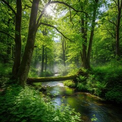 Fototapeta premium Tranquil forest river scene with vibrant foliage and sunlit canopy